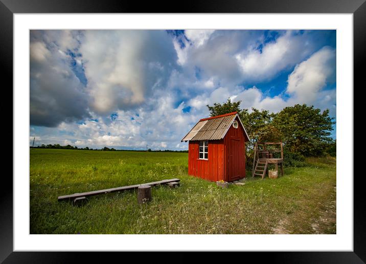 Small wooden red house in field or meadow and beau Framed Mounted Print by Alexey Rezvykh