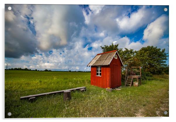 Small wooden red house in field or meadow and beau Acrylic by Alexey Rezvykh