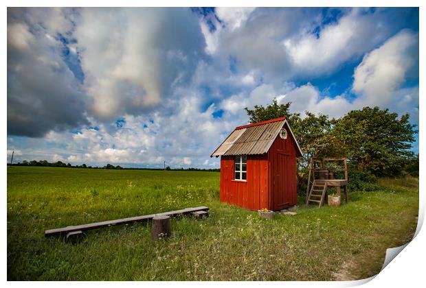 Small wooden red house in field or meadow and beau Print by Alexey Rezvykh