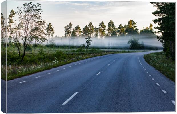 Morning fog on the road Canvas Print by Alexey Rezvykh