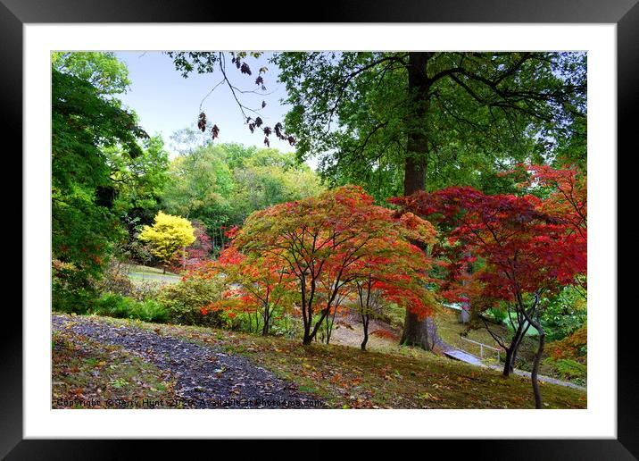 The changing colours of Hole Park gardens  Framed Mounted Print by Terry Hunt