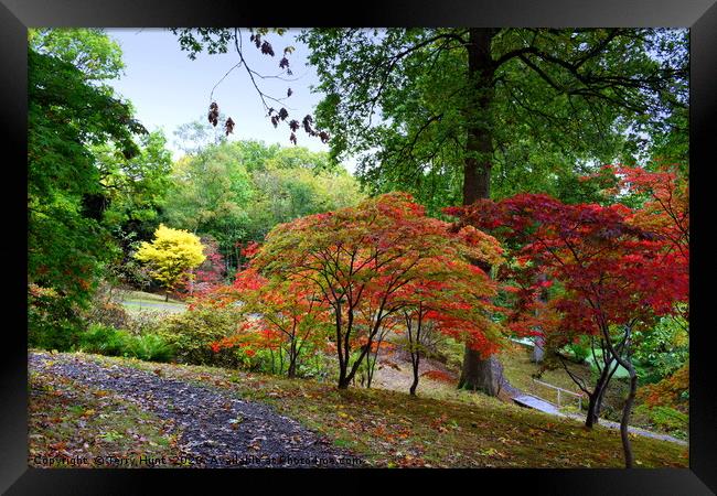 The changing colours of Hole Park gardens  Framed Print by Terry Hunt