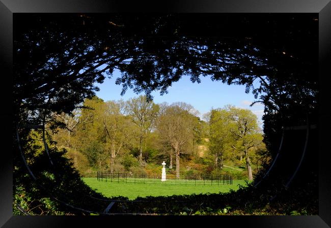 Hole Park and Gardens      Framed Print by Terry Hunt