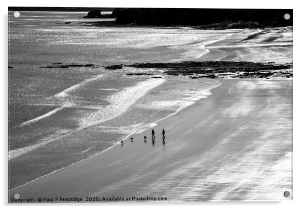 Silver Sea in February Acrylic by Paul F Prestidge