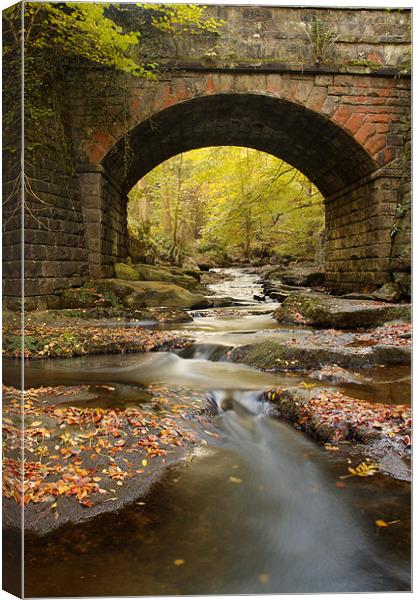 Bridge over May Beck Canvas Print by Martin Williams