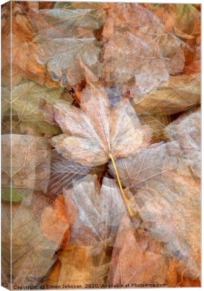 leaf collage Canvas Print by Simon Johnson