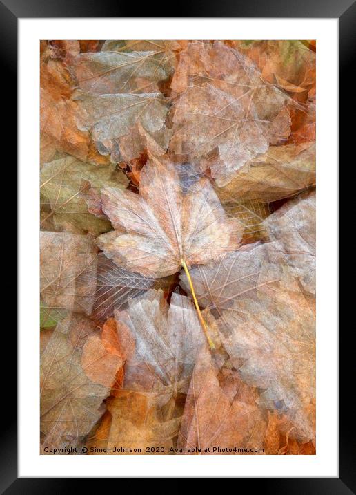 leaf collage Framed Mounted Print by Simon Johnson