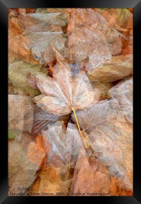 leaf collage Framed Print by Simon Johnson