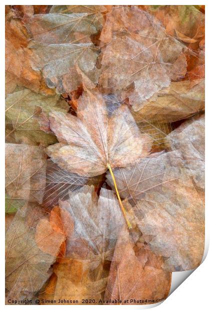 leaf collage Print by Simon Johnson