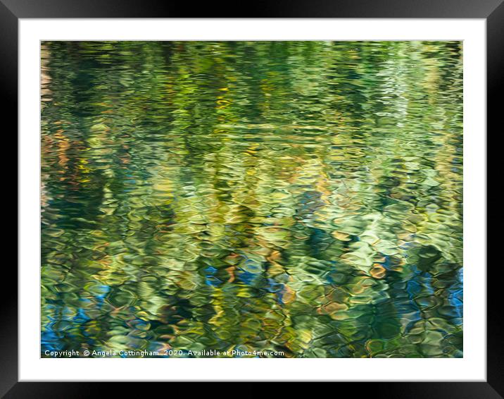 Reflections in a pond Framed Mounted Print by Angela Cottingham