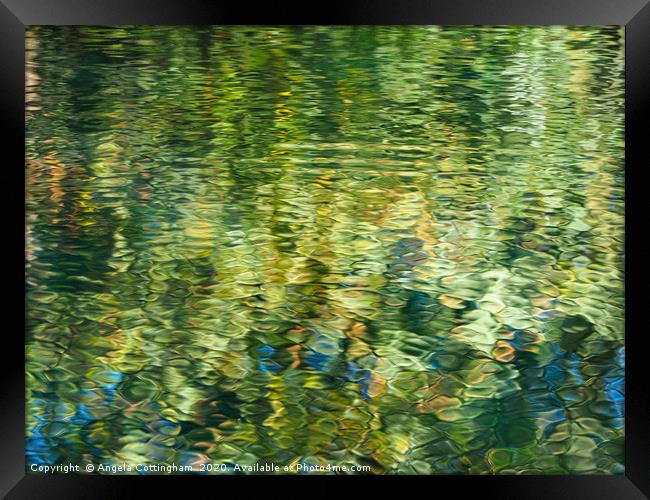 Reflections in a pond Framed Print by Angela Cottingham