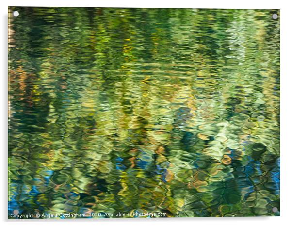 Reflections in a pond Acrylic by Angela Cottingham