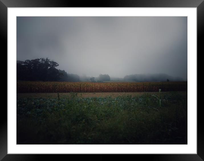 Foggy field Framed Mounted Print by Larisa Siverina