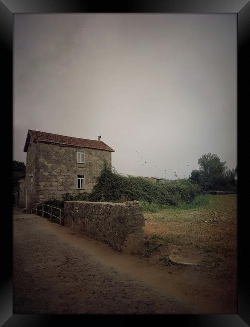 Rural landscape Framed Print by Larisa Siverina