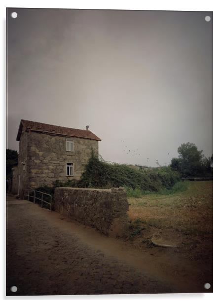 Rural landscape Acrylic by Larisa Siverina
