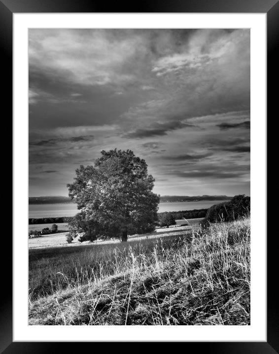 A tree on a hill Framed Mounted Print by Emma Dickson