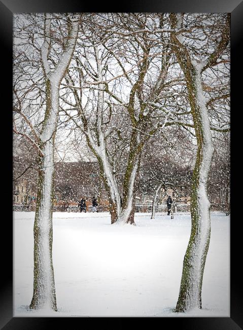 Helsingborg Stadsparken in Winter Framed Print by Antony McAulay