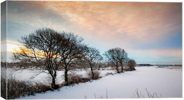 Lonely Winter Sunrise Trees Canvas Print by Antony McAulay
