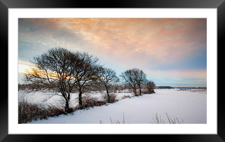 Lonely Winter Sunrise Trees Framed Mounted Print by Antony McAulay