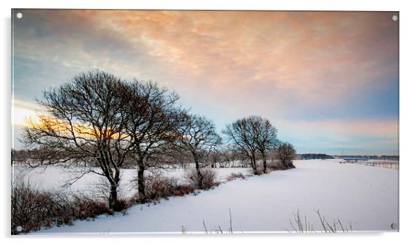Lonely Winter Sunrise Trees Acrylic by Antony McAulay
