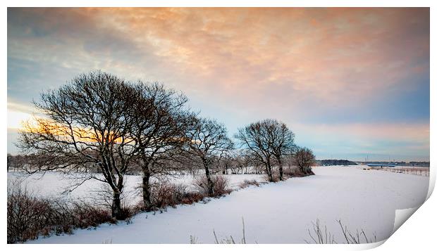 Lonely Winter Sunrise Trees Print by Antony McAulay