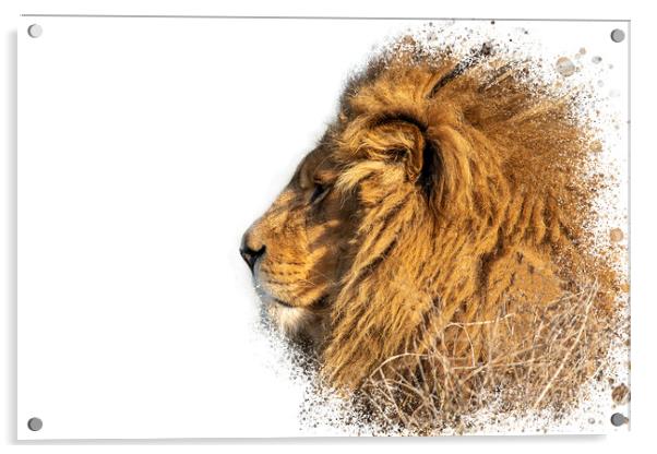 Lion Head Splatter Art Acrylic by Darren Wilkes