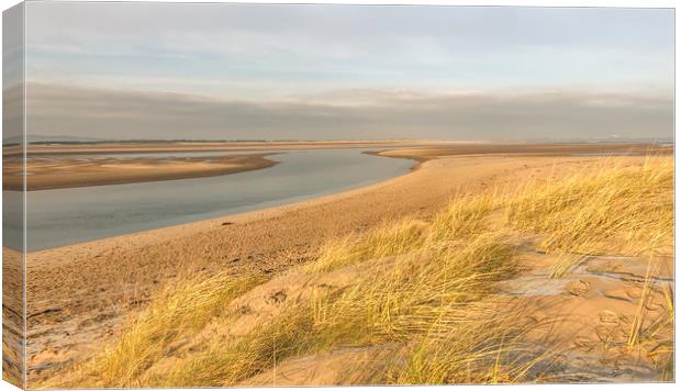 Wispy Dunes at Budle Bay Canvas Print by Naylor's Photography