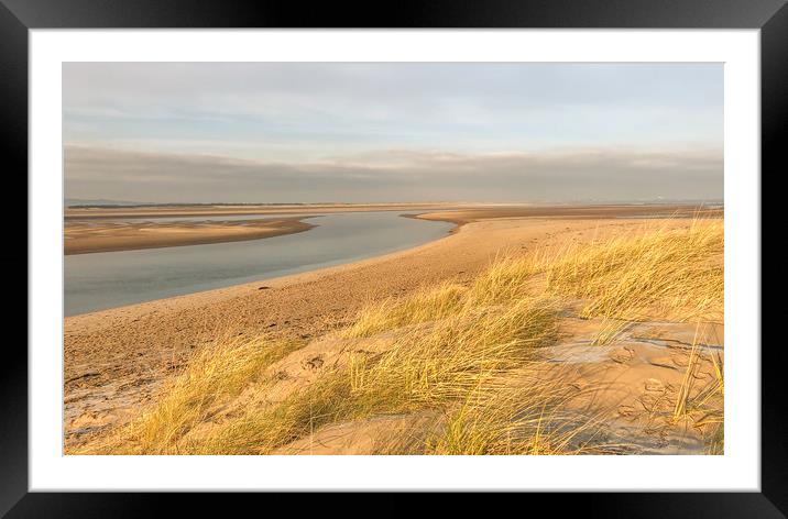 Wispy Dunes at Budle Bay Framed Mounted Print by Naylor's Photography