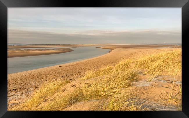 Wispy Dunes at Budle Bay Framed Print by Naylor's Photography