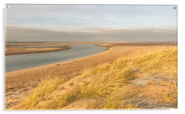 Wispy Dunes at Budle Bay Acrylic by Naylor's Photography