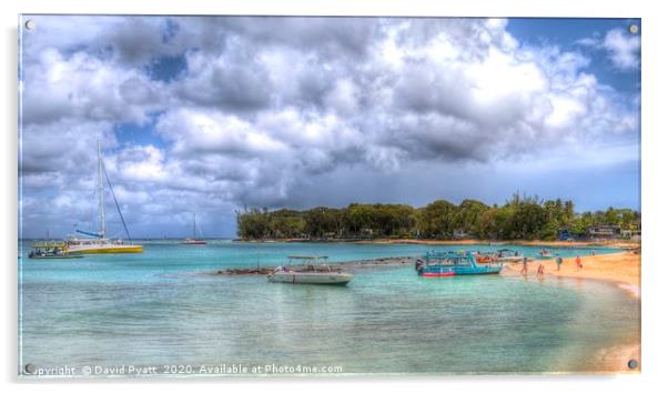 Caribbean Beach Panorama Acrylic by David Pyatt