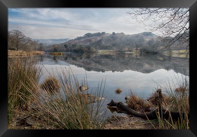 Rydal Water Reflections, Ambleside Framed Print by Ann Goodall