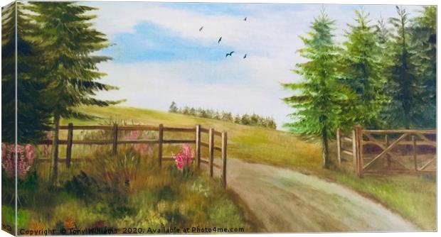  Country  Scene Canvas Print by Tony Williams. Photography email tony-williams53@sky.com