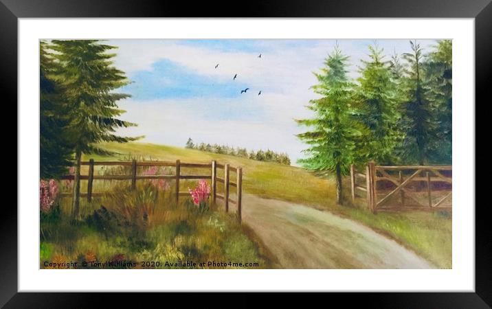  Country  Scene Framed Mounted Print by Tony Williams. Photography email tony-williams53@sky.com