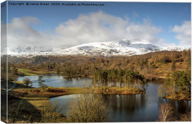 Tarn Hows in February Canvas Print by Jamie Green
