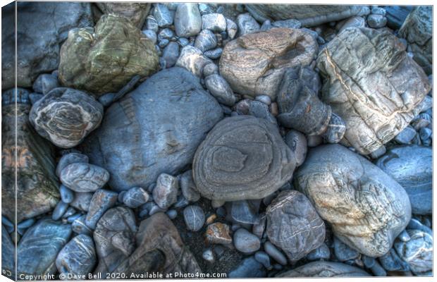 Very Interesting Stones On A Beach Canvas Print by Dave Bell