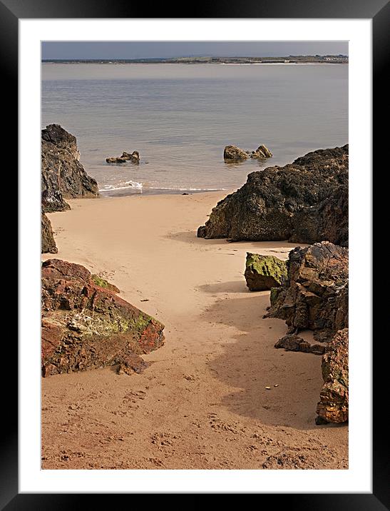 On The Beach Framed Mounted Print by Jacqi Elmslie