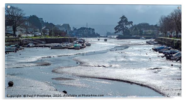 Kingsbridge Estuary at Low Tide Acrylic by Paul F Prestidge