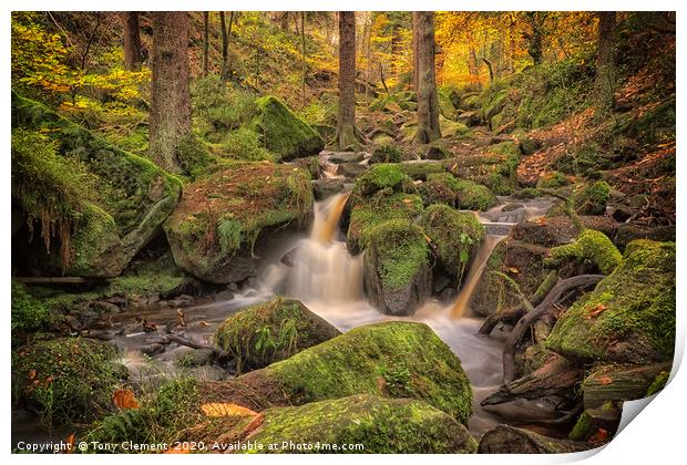 Wyming Brook Print by Tony Clement