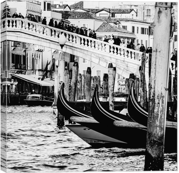 Venice Rialto Bridge Canvas Print by David Martin