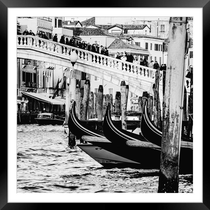 Venice Rialto Bridge Framed Mounted Print by David Martin