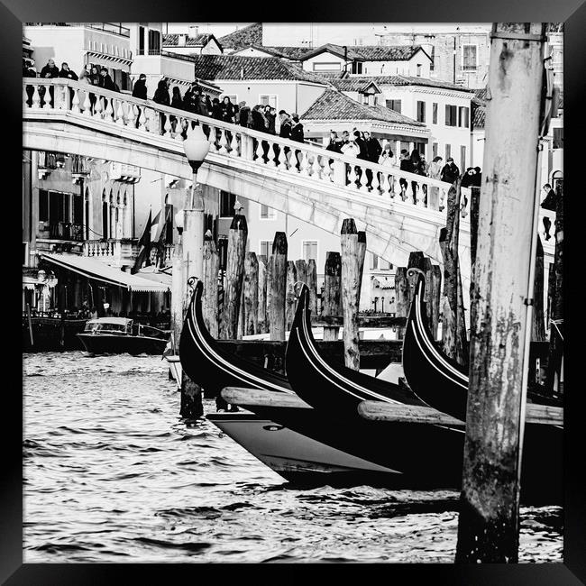 Venice Rialto Bridge Framed Print by David Martin