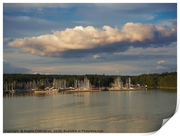 Baltic Marina Print by Angela Cottingham