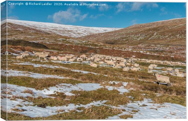 Winter in the Hudes Hope Valley Canvas Print by Richard Laidler