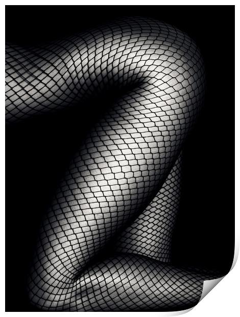 Legs in Fishnet Stockings 2 Print by Johan Swanepoel