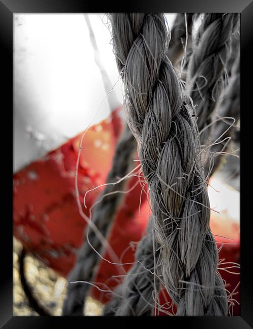 old rope and lifebuoy Framed Print by Heather Newton