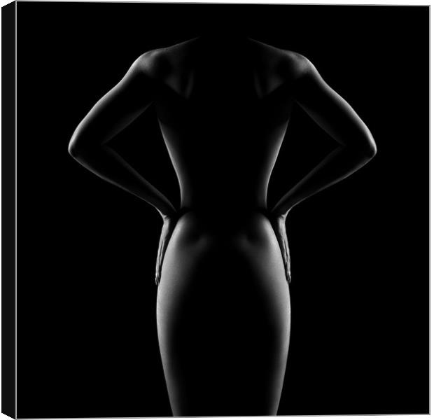 Nude woman bodyscape 53 Canvas Print by Johan Swanepoel