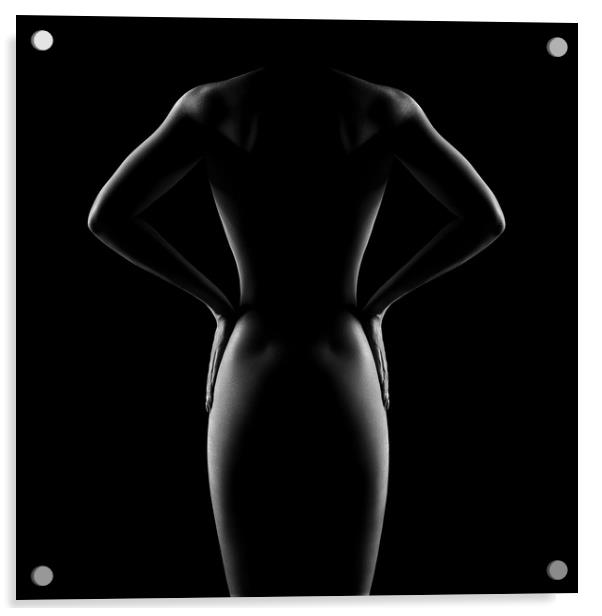 Nude woman bodyscape 53 Acrylic by Johan Swanepoel