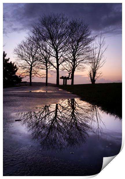 Dusk at Ravenhill park Print by Leighton Collins
