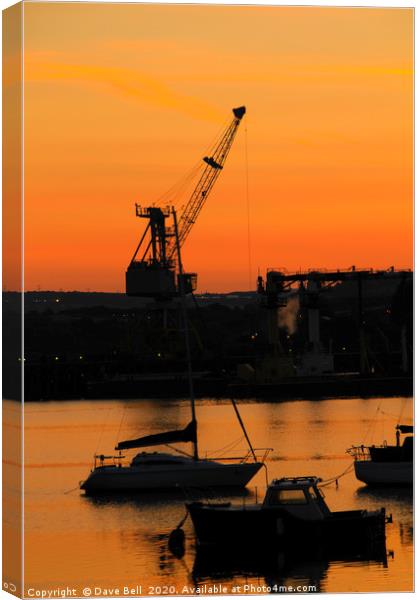 Sunlight Crane. Canvas Print by Dave Bell